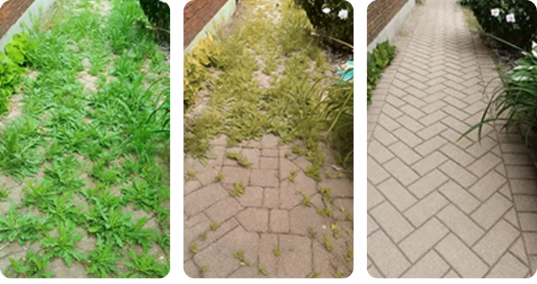 2 in 1 Max Power Herbizid