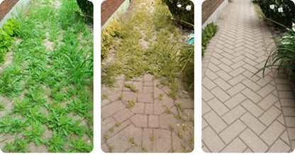 2 in 1 Max Power Herbizid