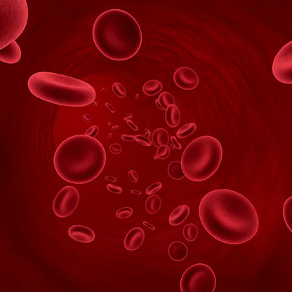 Reverse - Hair Growth Serum