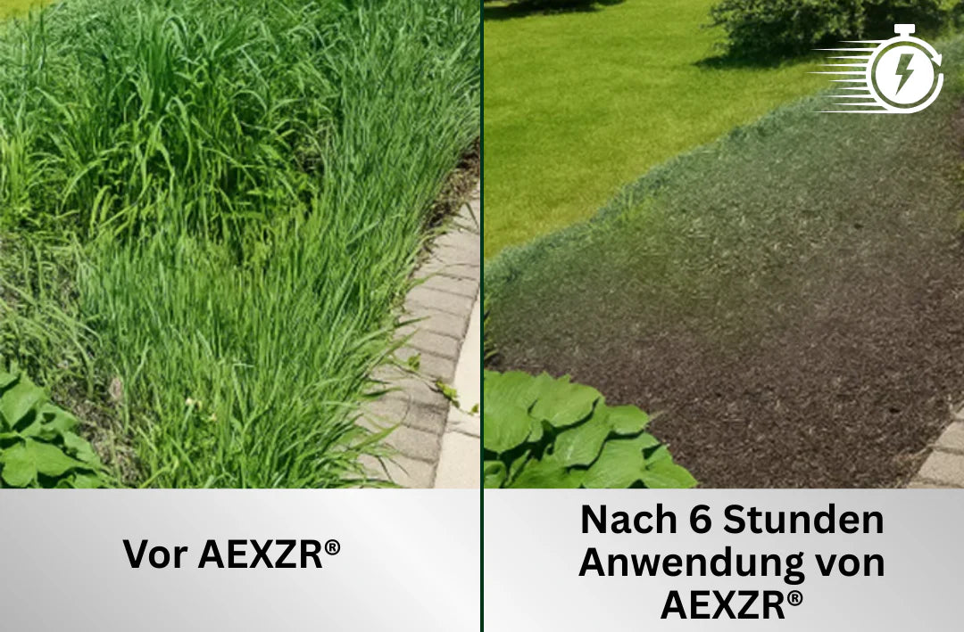 2 in 1 Max Power Herbizid