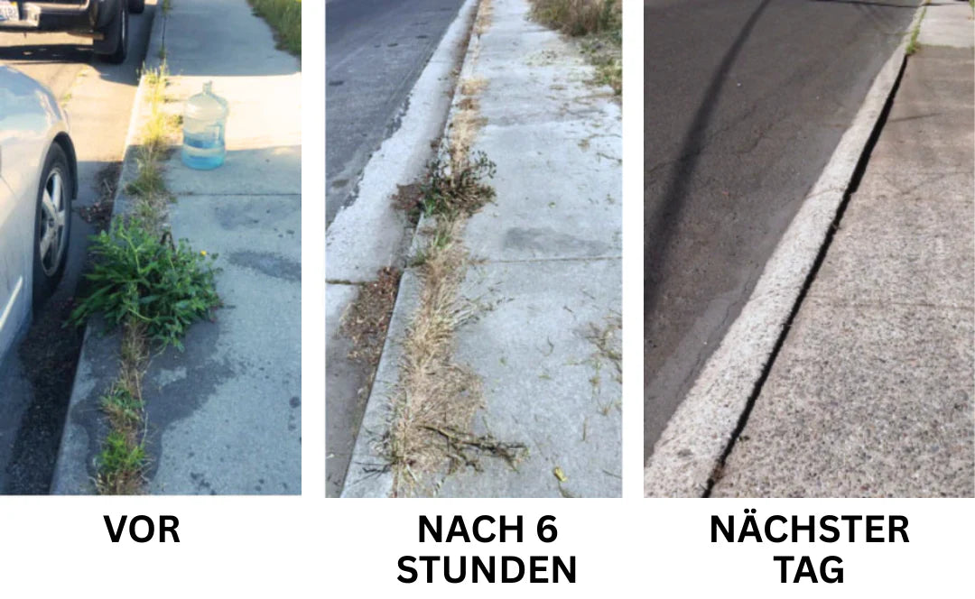 2 in 1 Max Power Herbizid