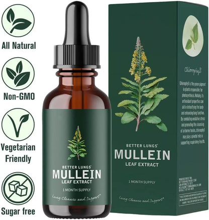 Mullein Leaf Extract Drops